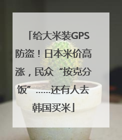 给大米装GPS防盗！日本米价高涨，民众“按克分饭”……还有人去韩国买米
