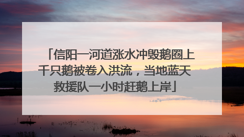 信阳一河道涨水冲毁鹅圈上千只鹅被卷入洪流，当地蓝天救援队一小时赶鹅上岸