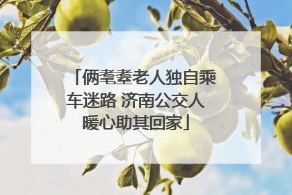 俩耄耋老人独自乘车迷路 济南公交人暖心助其回家