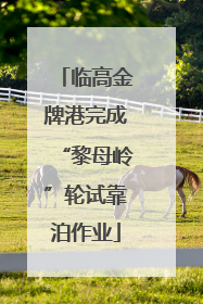 临高金牌港完成“黎母岭”轮试靠泊作业