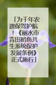 为千年农遗保驾护航！《丽水市青田稻鱼共生系统保护发展条例》正式施行