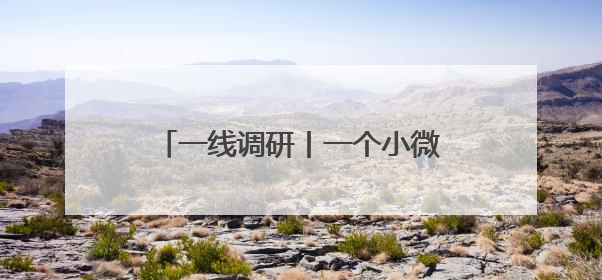 一线调研丨一个小微企业的“冠军”之路