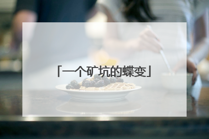 一个矿坑的蝶变