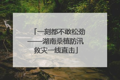 一刻都不敢松劲——湖南桑植防汛救灾一线直击