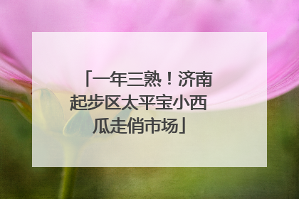 一年三熟！济南起步区太平宝小西瓜走俏市场