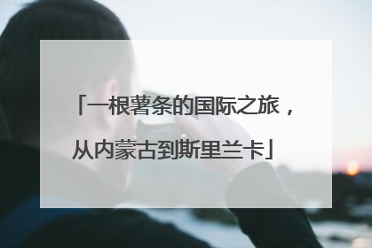 一根薯条的国际之旅，从内蒙古到斯里兰卡