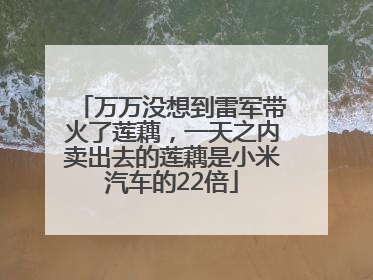 万万没想到雷军带火了莲藕，一天之内卖出去的莲藕是小米汽车的22倍