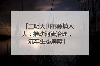 三明大田桃源镇人大：推动河流治理，筑牢生态屏障