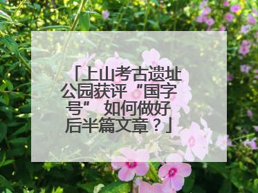 上山考古遗址公园获评“国字号” 如何做好后半篇文章？