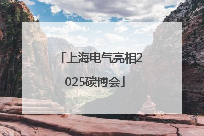 上海电气亮相2025碳博会