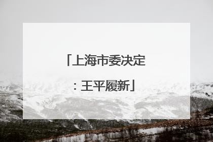 上海市委决定：王平履新