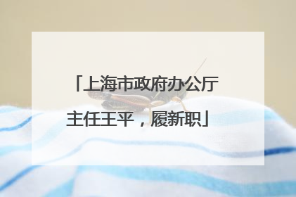 上海市政府办公厅主任王平，履新职