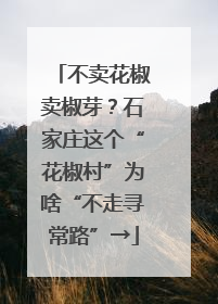 不卖花椒卖椒芽？石家庄这个“花椒村”为啥“不走寻常路”→