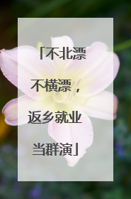 不北漂不横漂，返乡就业当群演