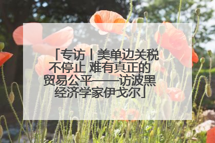专访丨美单边关税不停止 难有真正的贸易公平——访波黑经济学家伊戈尔