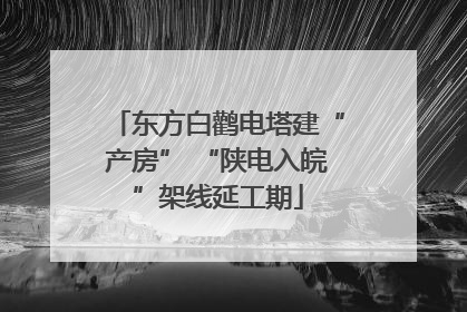 东方白鹳电塔建“产房” “陕电入皖”架线延工期