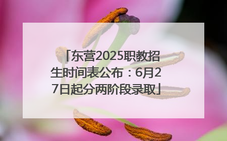 东营2025职教招生时间表公布：6月27日起分两阶段录取