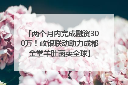 两个月内完成融资300万！政银联动助力成都金堂羊肚菌卖全球
