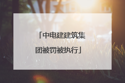中电建建筑集团被罚被执行
