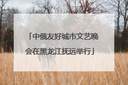 中俄友好城市文艺晚会在黑龙江抚远举行