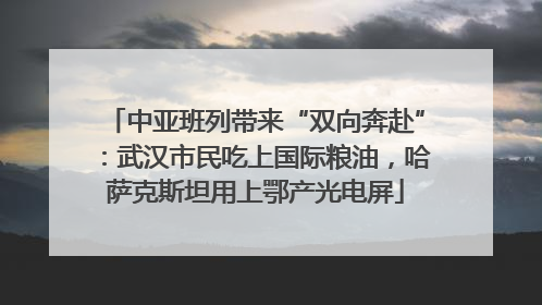 中亚班列带来“双向奔赴”：武汉市民吃上国际粮油，哈萨克斯坦用上鄂产光电屏