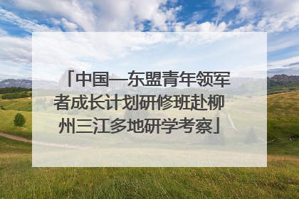 中国—东盟青年领军者成长计划研修班赴柳州三江多地研学考察
