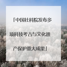 中国社科院发布多项科技考古与文化遗产保护重大成果