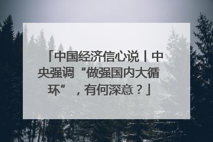 中国经济信心说丨中央强调“做强国内大循环”，有何深意？