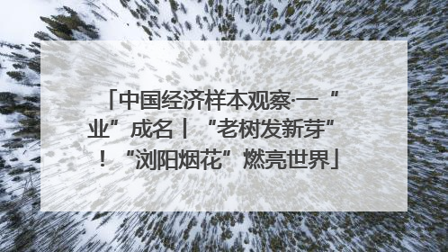 中国经济样本观察·一“业”成名丨“老树发新芽”！“浏阳烟花”燃亮世界