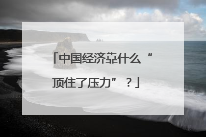 中国经济靠什么“顶住了压力”？