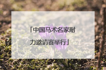 中国马术名家耐力邀请赛举行