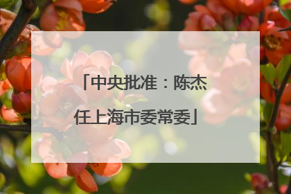 中央批准：陈杰任上海市委常委