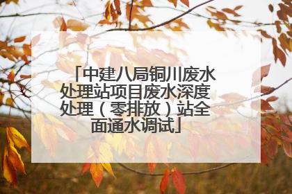中建八局铜川废水处理站项目废水深度处理（零排放）站全面通水调试
