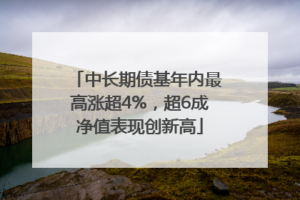 中长期债基年内最高涨超4%，超6成净值表现创新高
