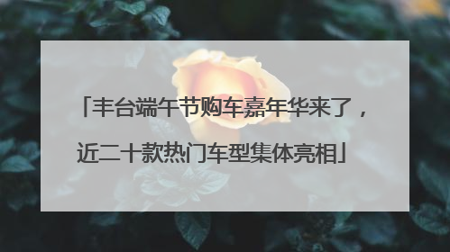 丰台端午节购车嘉年华来了，近二十款热门车型集体亮相