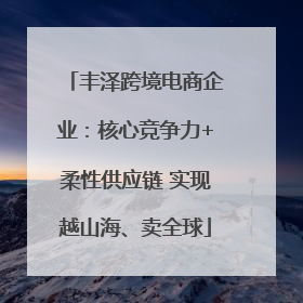 丰泽跨境电商企业：核心竞争力+柔性供应链 实现越山海、卖全球