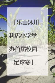 乐山沐川利店小学举办首届校园足球赛