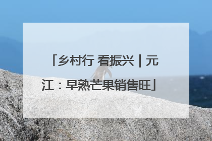 乡村行 看振兴｜元江：早熟芒果销售旺