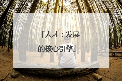 人才：发展的核心引擎