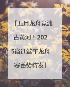 五月龙舟竞渡古黄河！2025宿迁端午龙舟赛蓄势待发