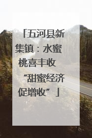 五河县新集镇：水蜜桃喜丰收 “甜蜜经济促增收”