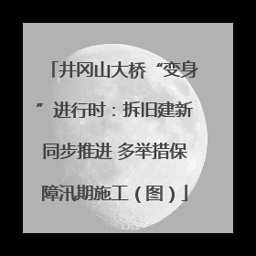 井冈山大桥“变身”进行时：拆旧建新同步推进 多举措保障汛期施工（图）