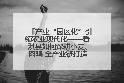 产业“园区化”引领农业现代化——看淇县如何深耕小麦、肉鸡 全产业链打造现代农业产业园