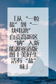 从“一粒盐”到“一块电池” 自贡高新区“钠”入新能源赛道版图丨美好生活有“盐”味
