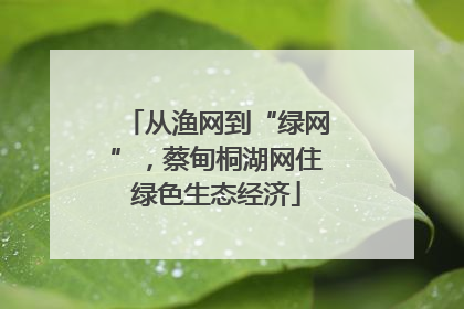从渔网到“绿网”，蔡甸桐湖网住绿色生态经济