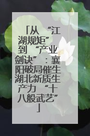 从 “江湖规矩” 到 “产业剑诀”：襄阳破局催生湖北新质生产力 “十八般武艺”