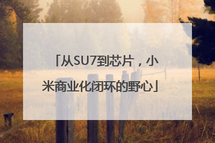 从SU7到芯片，小米商业化闭环的野心