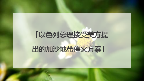 以色列总理接受美方提出的加沙地带停火方案