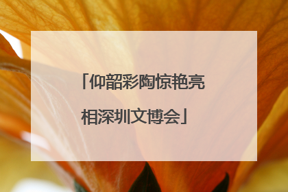 仰韶彩陶惊艳亮相深圳文博会