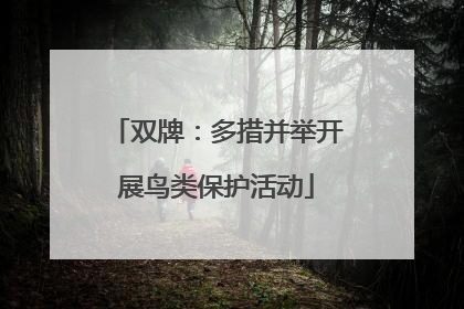 双牌：多措并举开展鸟类保护活动